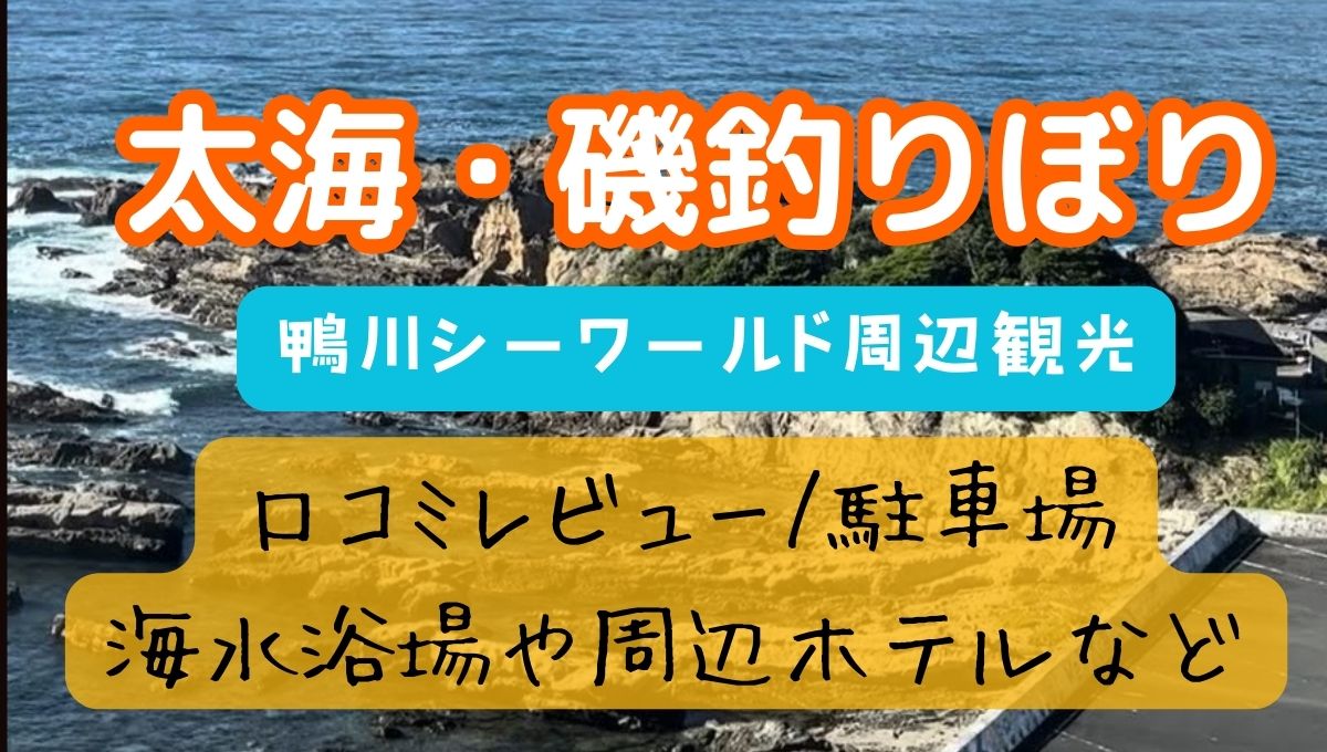 太海海水浴場　釣り