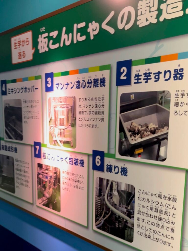 こんにゃくパーク　工場見学