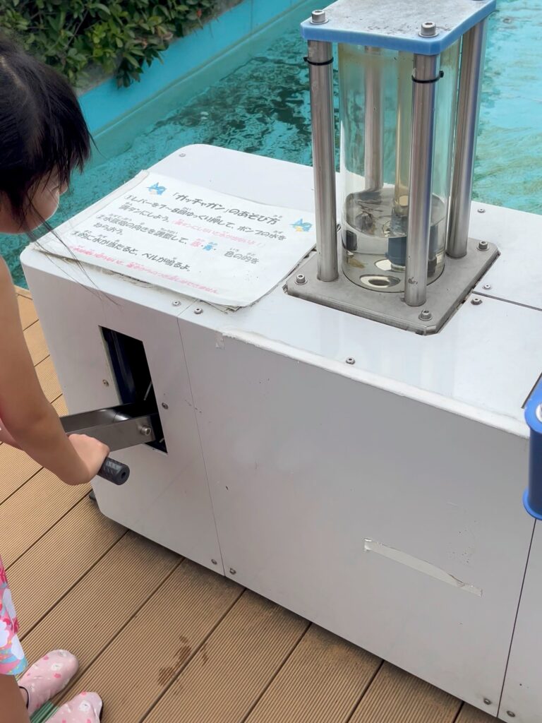 川の博物館　水遊び