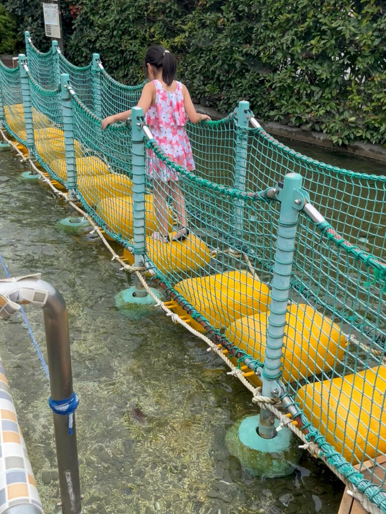 川の博物館　ブログ